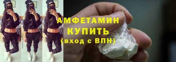 индика Балабаново