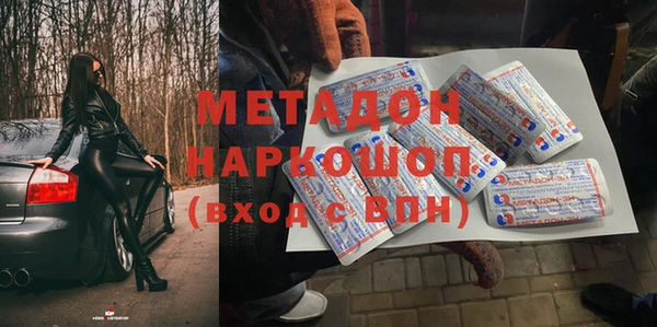 индика Тайга