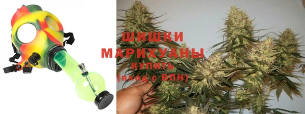индика Балабаново